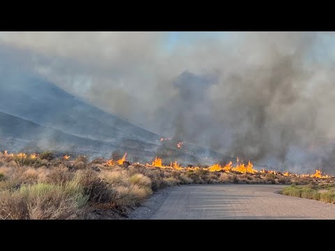 Estimated 300-500 acre wildfire burns in Washington County