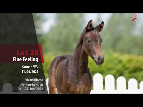 Westfälische Fohlen-Auktion Lot 28 Fine Feeling Stute v. Follow Him's Schönweide - Rock Forever I