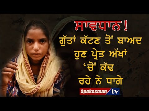 Magical girl: Doctors ruled our parent's claim