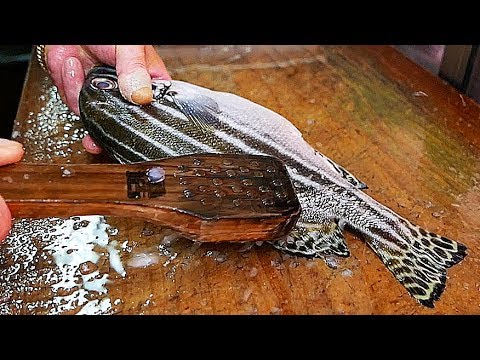 Comida de rua japonesa - ORIENTAL SWEETLIPS FISH Pizza de frutos do mar Japão