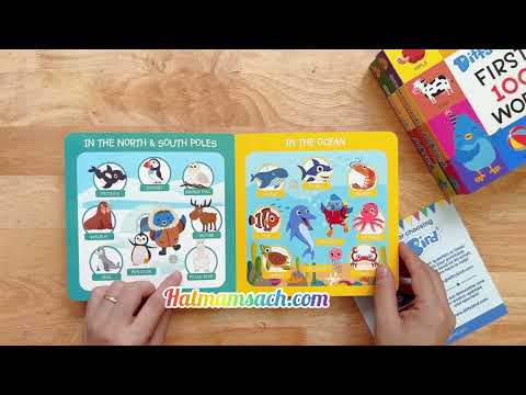 DITTY BIRD 100 ANIMALS