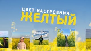Новости пешком Цвет настроения желтый
