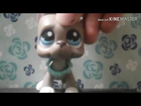 Had to have high high hopes for a lemon