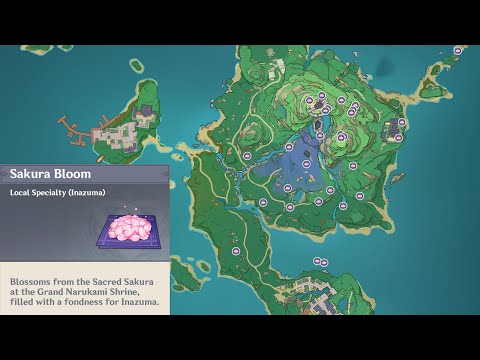 Ayaka Sakura Bloom Level-Up Material Location & How to Farm it  - Inazuma New Update