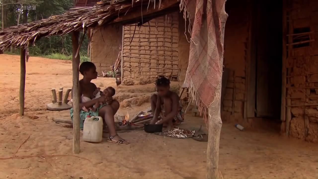 Tribal Wives