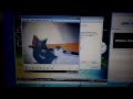 Tom And Jerry Scream Has BSOD Part 16