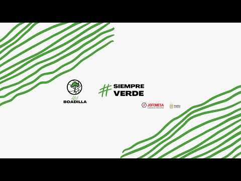 [Junior Fem. Pref.] JOFEMESA ADC BOADILLA - OLIMPICO ALCOBENDAS