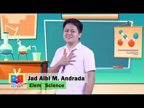 Science6 Quarter 2 Module 1 The Human Body Systems: Digestive System