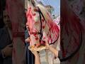 Zuljana Noha Zuljanah Imam Hussain As Zuljanah Zuljana Mirhasanmir Shorts