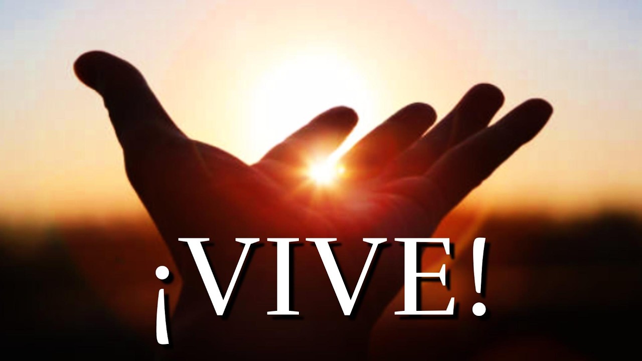 Los Mejores Consejos Para Vivir Feliz ¦ Reflexión, Motivación, Gratittud #felicidad #vida