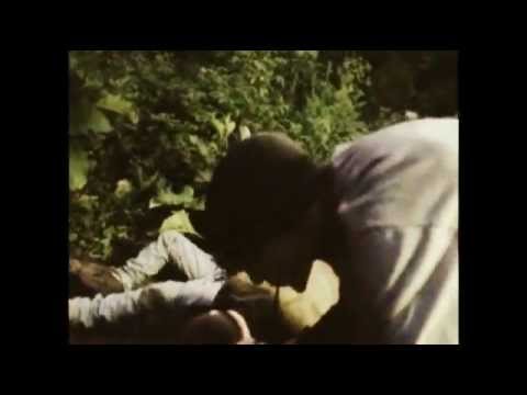 Brutality on the Living Dead - Abracadaver