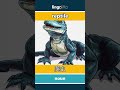 reptile - 爬虫 video thumbnail