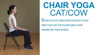 HNH Fitness: Chair Yoga Cat/Cow