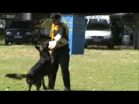 Fosco von Bayerberg - IPO1 C