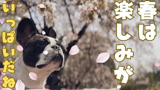 イベントついでに楽しんできた