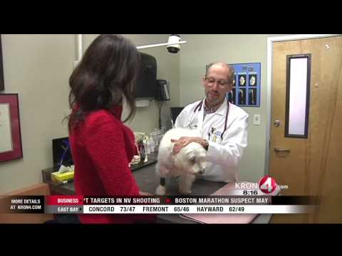 FDA Warns Pet Owners of Dangerous Jerky Treats