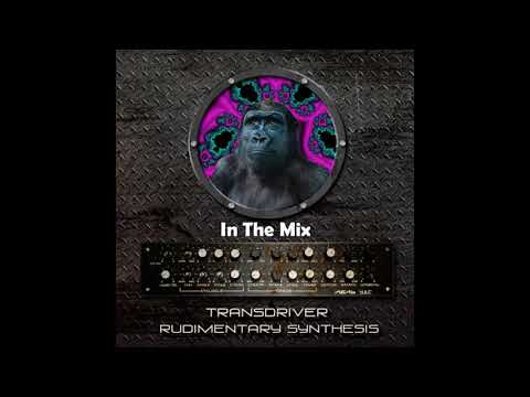 Transdriver – Rudimentary Synthesis (In The Mix) NYE 2020 Goodies