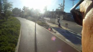 preview picture of video 'Kings Park Exit with Perth City Tour'