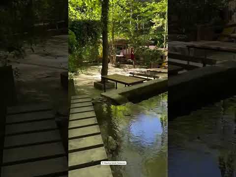 Maşukiye Şelalesi ve Gurme Restoranlar Kartepe Kocaeli