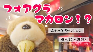 【珍味マカロン】フォアグラ味のマカロン【食レポ】