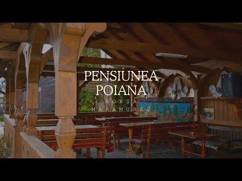 PENSIUNEA POIANA, BORȘA, MARAMUREȘ, CAZARE CONFORTABILĂ, PARCARE PRIVATĂ, TERASĂ ȘI LOC DE JOACĂ