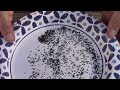 How To Save Basil Seeds To Plant and How I Store Them