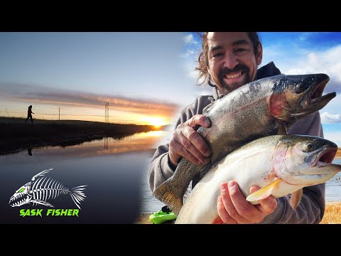 Strongest Trout I've Ever Caught! ALMOST Had A Wreck!