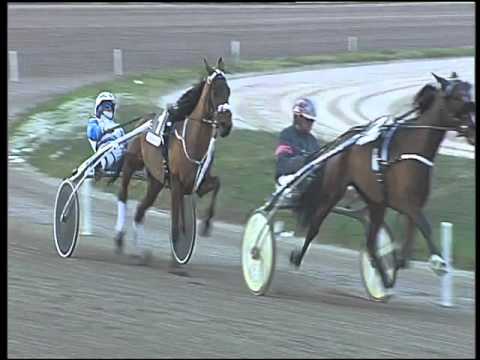 Trotto 13/12/2015 - 5° corsa Pr. BRICOLAGE DI NATALE