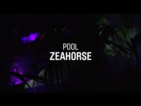 Zeahorse 'Pool' live at Volumes 2015 (Brighton Up Bar)