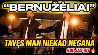 Download lagu Bernužėliai - Tavęs man niekad negana (2026) mp3 Download lagu Bernužėliai - Tavęs man niekad negana (2026) mp3