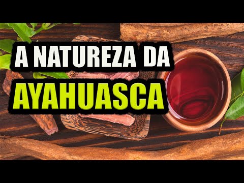 O Chá de Ayahuasca: Caminho para a Iluminação ( Documentário)