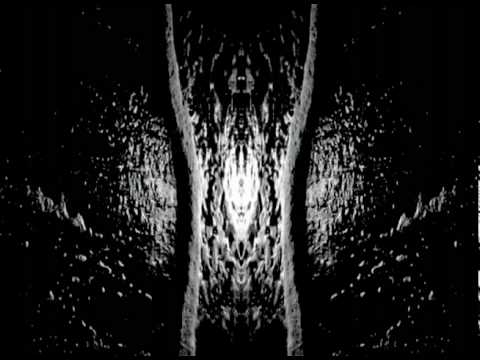 Oaken Voices- what breathes, what fills the pores