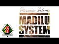 Madilu System Si Je Savais ça Audio