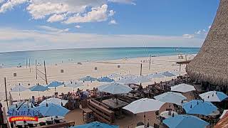 🔴Sharky's Beachfront Restaurant - Panama City Beach,  Florida - Live Cam live webcam