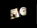 mathematics-havmercy.wmv