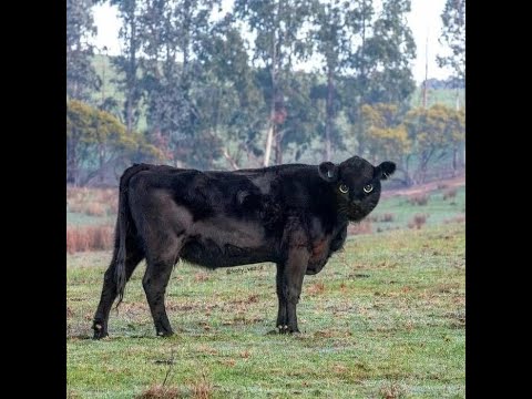 🔴 Live GGD สังคมมันเหลี่ยม