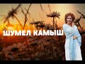 Шумел камыш - Поёт Юлия Боголепова 