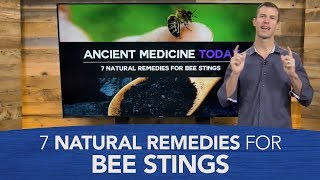 7 Natural Remedies for Bee Stings