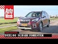 Eindejaarsvideo 2019 Deel 04 - Subaru Forester