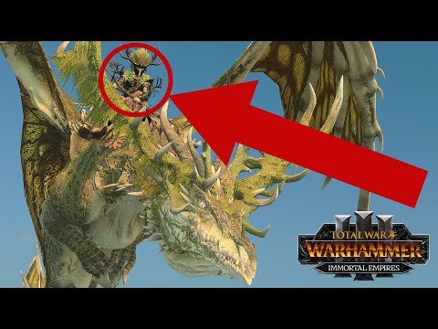 I Wanted To Try This - Wood Elves vs Bretonnia // Total War: WARHAMMER 3