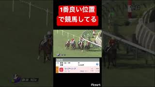 【これは勝つでしょう】単勝を買った馬が1番良い位置で競馬をしています #競馬