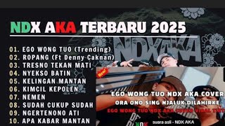 Download lagu Ndx aka terbaru no iklan  #ndx #dc #ropang #egowongtuo #album #fyp #viral mp3
