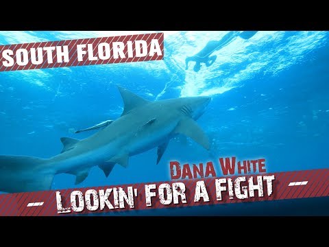 Dana White: Lookin’ for a Fight - Temporada 4 - Ep.2