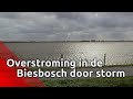 Mega overstroming in de Biesbosch door combinatie van storm en hoogwater