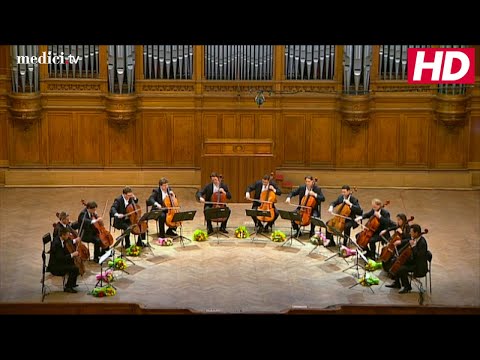 The 12 Cellists of the Berlin Philharmonic Orchestra - The Pink Panther Theme