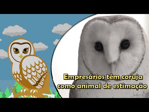 download lagu mp3 mp4 Coruja Branca, download lagu Coruja Branca gratis, unduh video klip Coruja Branca