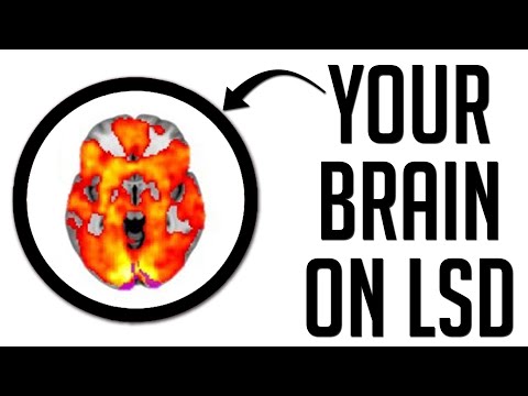 Your Brain On Drugs EP3: LSD and Acid (Lysergic acid diethylamide)