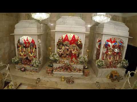 Morning Class SB 6.3.7 - HG Aniruddha Prabhu - 29 January 2022