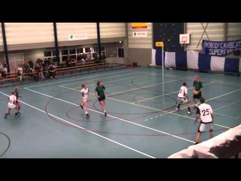 De Meeuwen 2  - Drachten 3