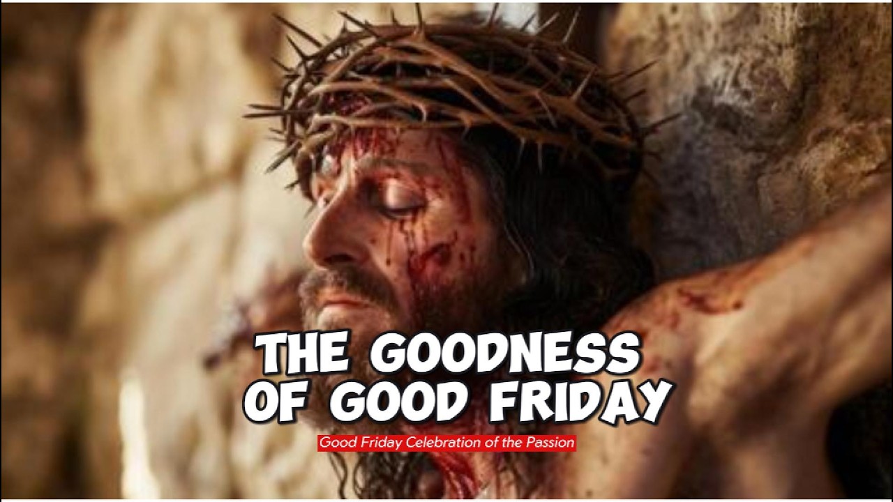 TODAY'S REFLECTION thumbnail